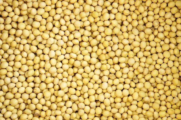 SOYBEANS